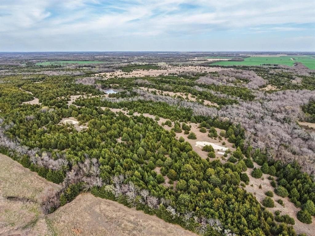 255.34 acres in Fannin County - photo 13
