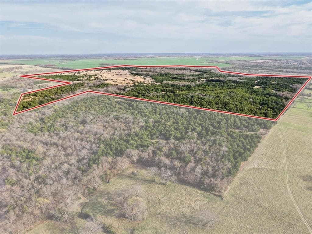 255.34 acres in Fannin County - photo 29