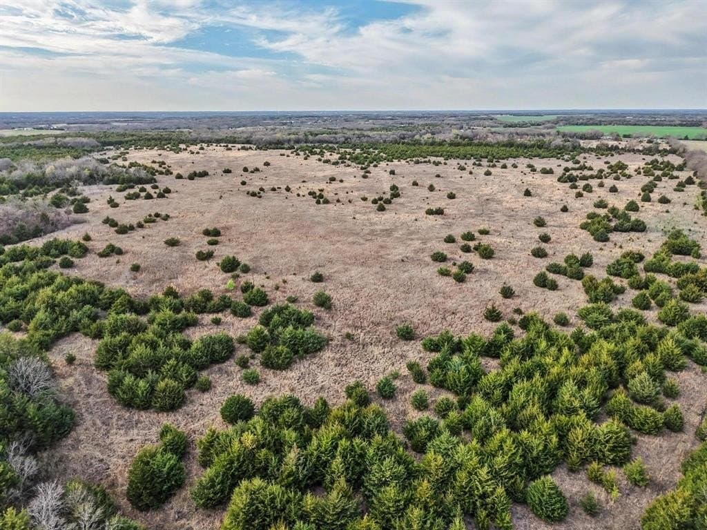 255.34 acres in Fannin County - photo 32