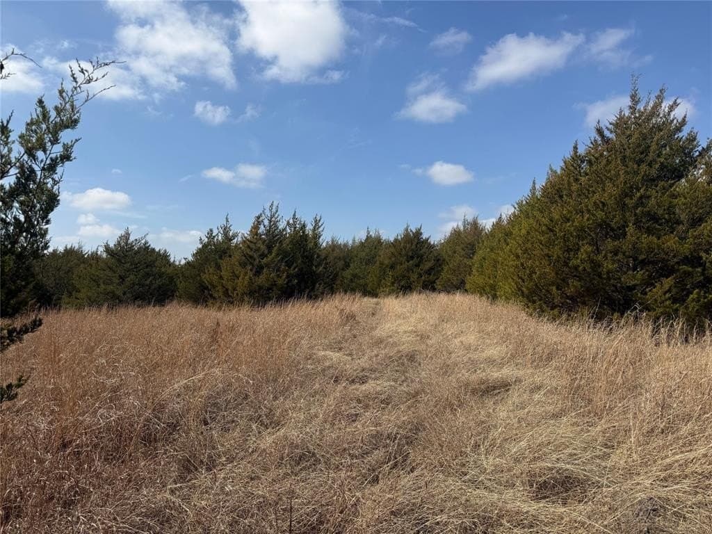 255.34 acres in Fannin County - photo 11