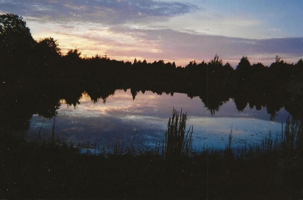 255.34 acres in Fannin County - photo 37