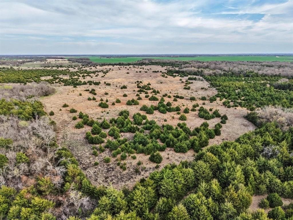 255.34 acres in Fannin County - photo 19