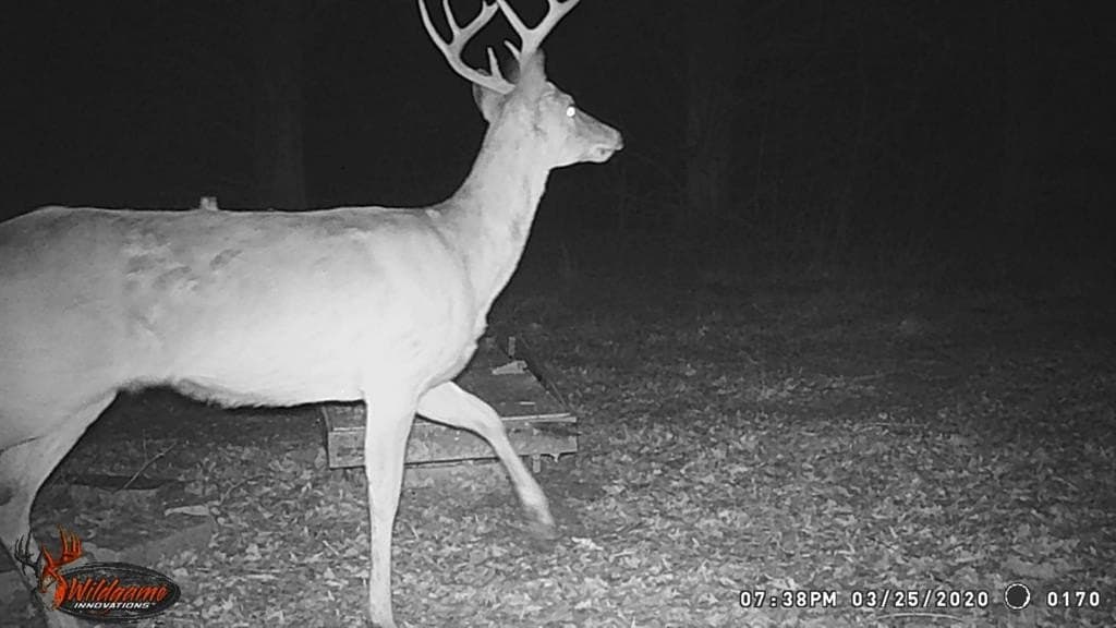 255.34 acres in Fannin County - photo 35