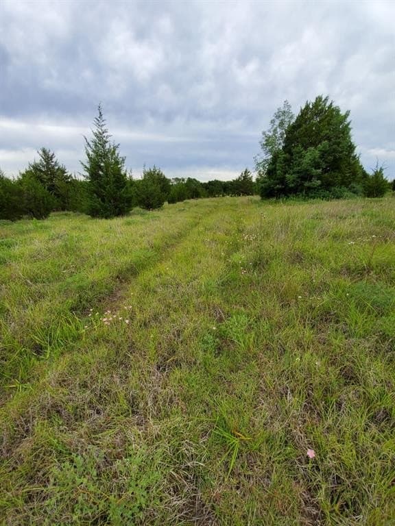 255.34 acres in Fannin County - photo 38