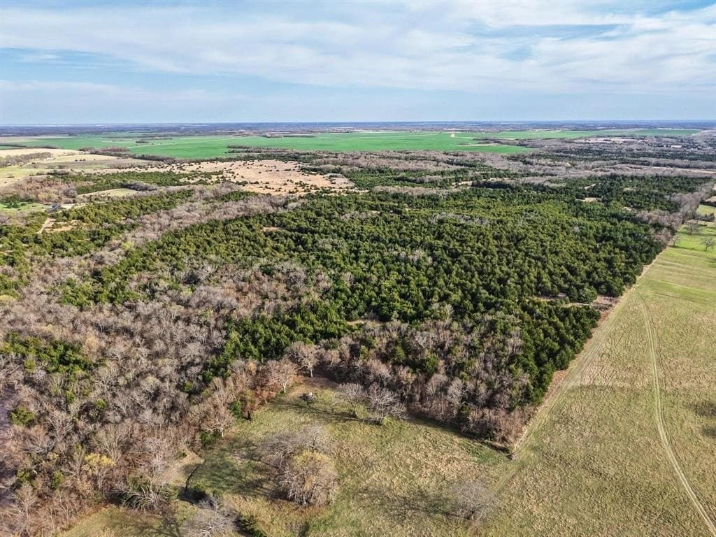 255.34 acres in Fannin County - photo 17