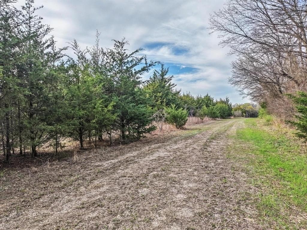 255.34 acres in Fannin County - photo 27