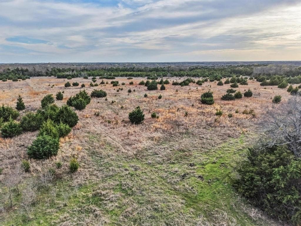 255.34 acres in Fannin County - photo 16
