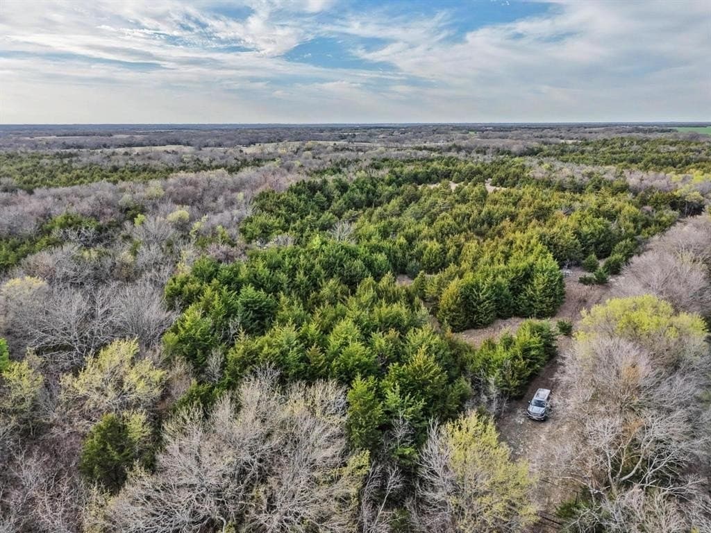 255.34 acres in Fannin County - photo 12