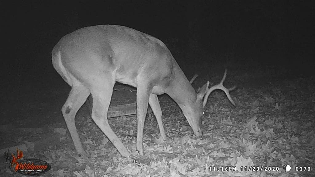 255.34 acres in Fannin County - photo 36