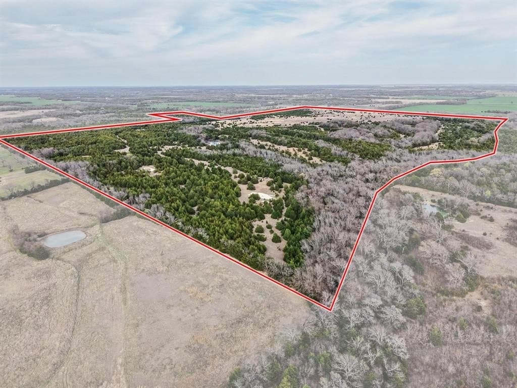 255.34 acres in Fannin County - photo 21