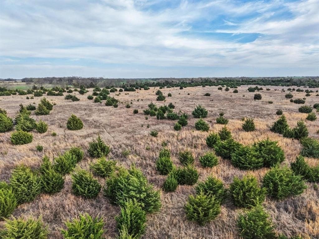255.34 acres in Fannin County - photo 23