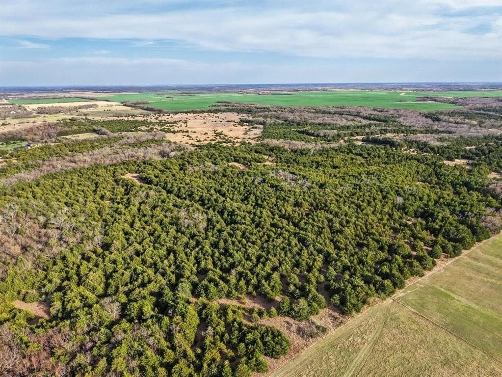 255.34 acres in Fannin County - photo 14