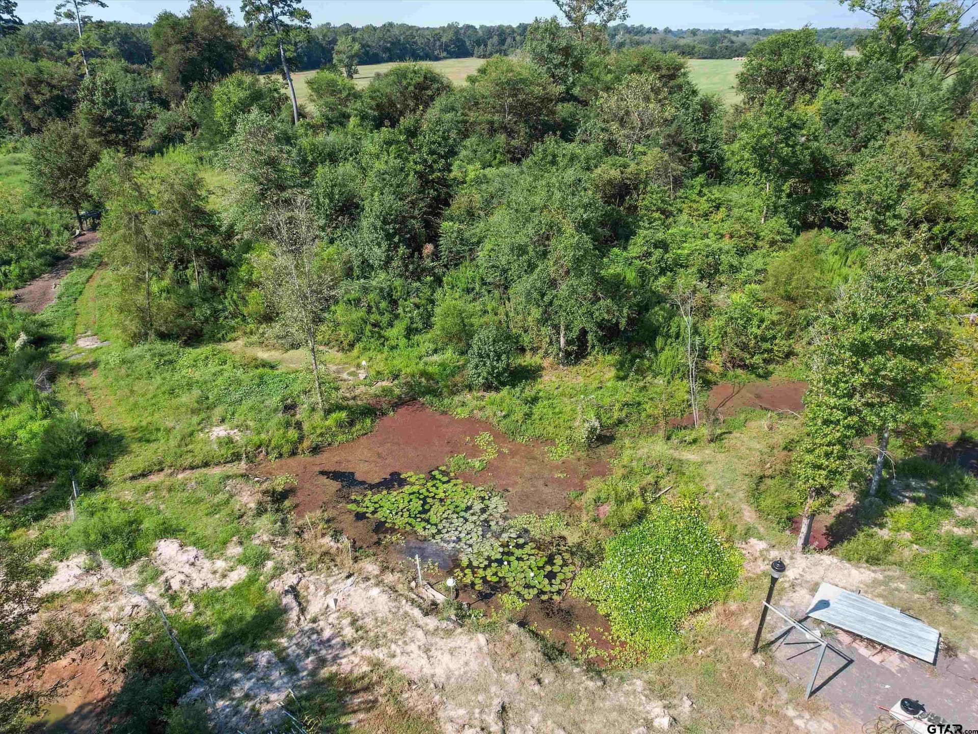 26.09 acres in Cass County - photo 12
