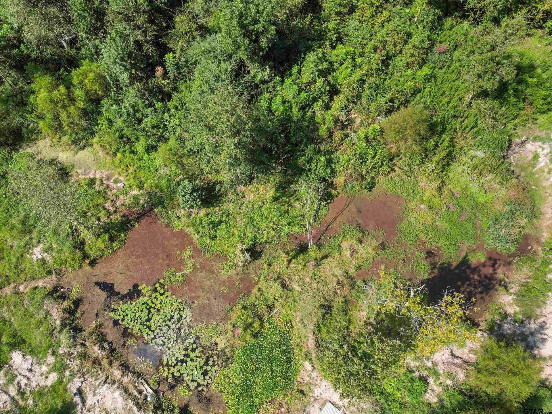 26.09 acres in Cass County - photo 13