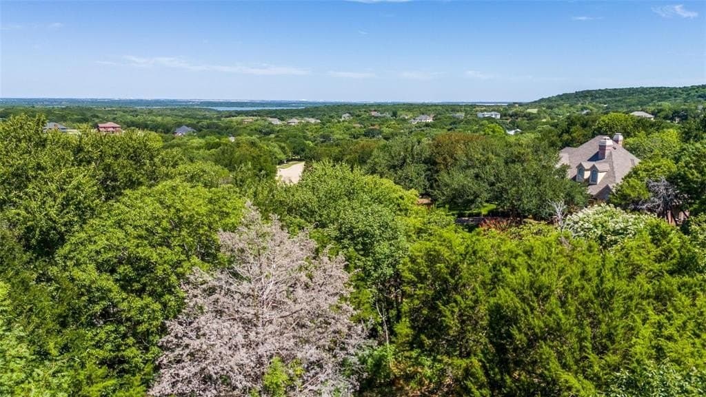 1.38 acres in Dallas County - photo 6
