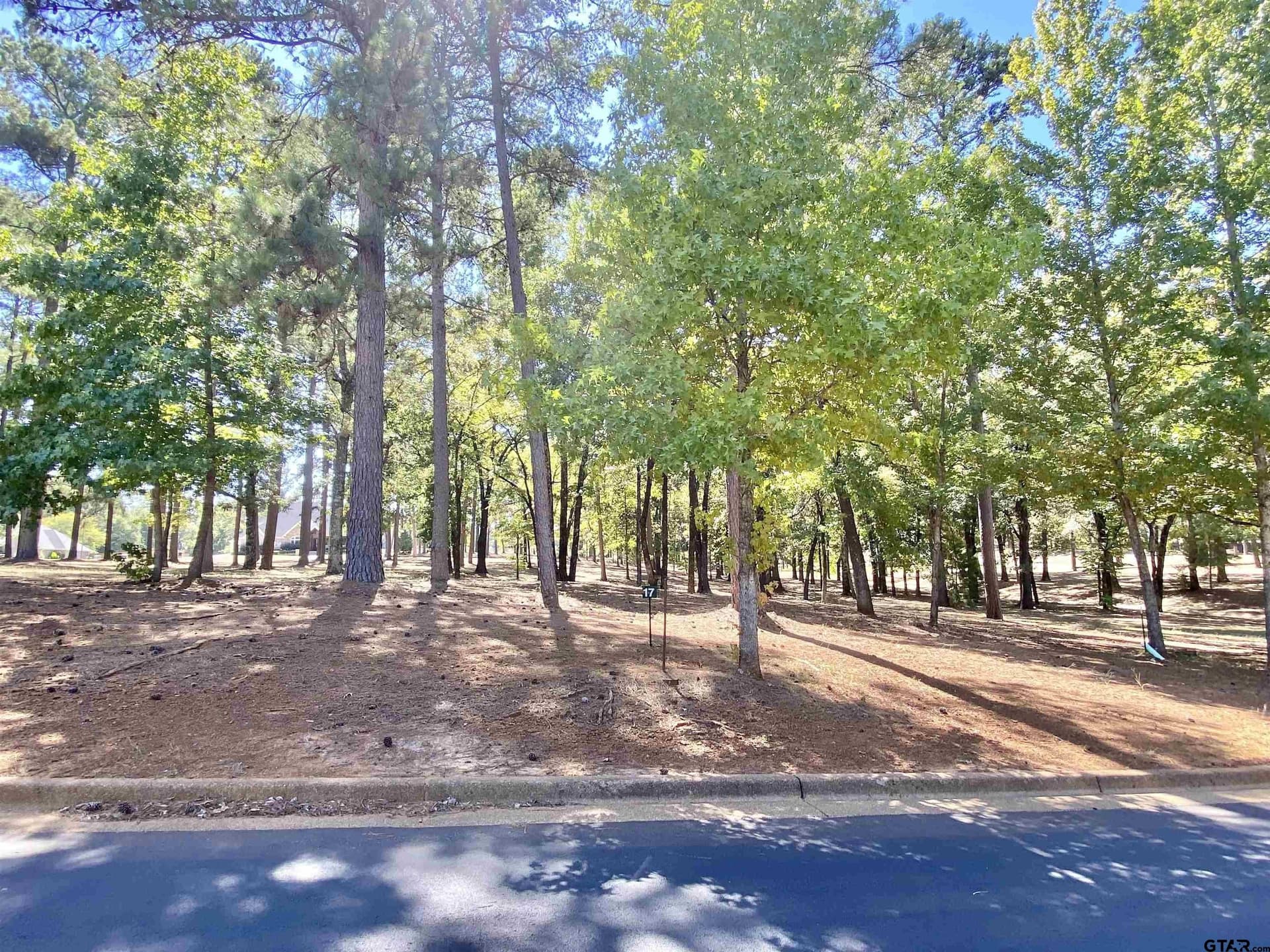 0.46 acres in Anderson County - photo 3