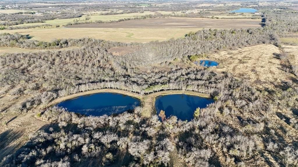 39.93 acres in McLennan County - photo 4