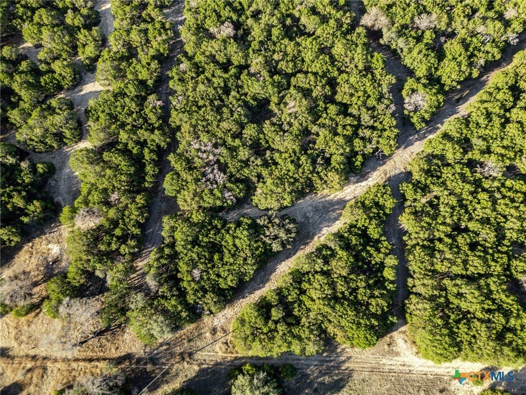6.06 acres in Lampasas County - photo 2