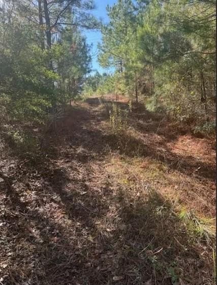 1866 Hwy 21 E