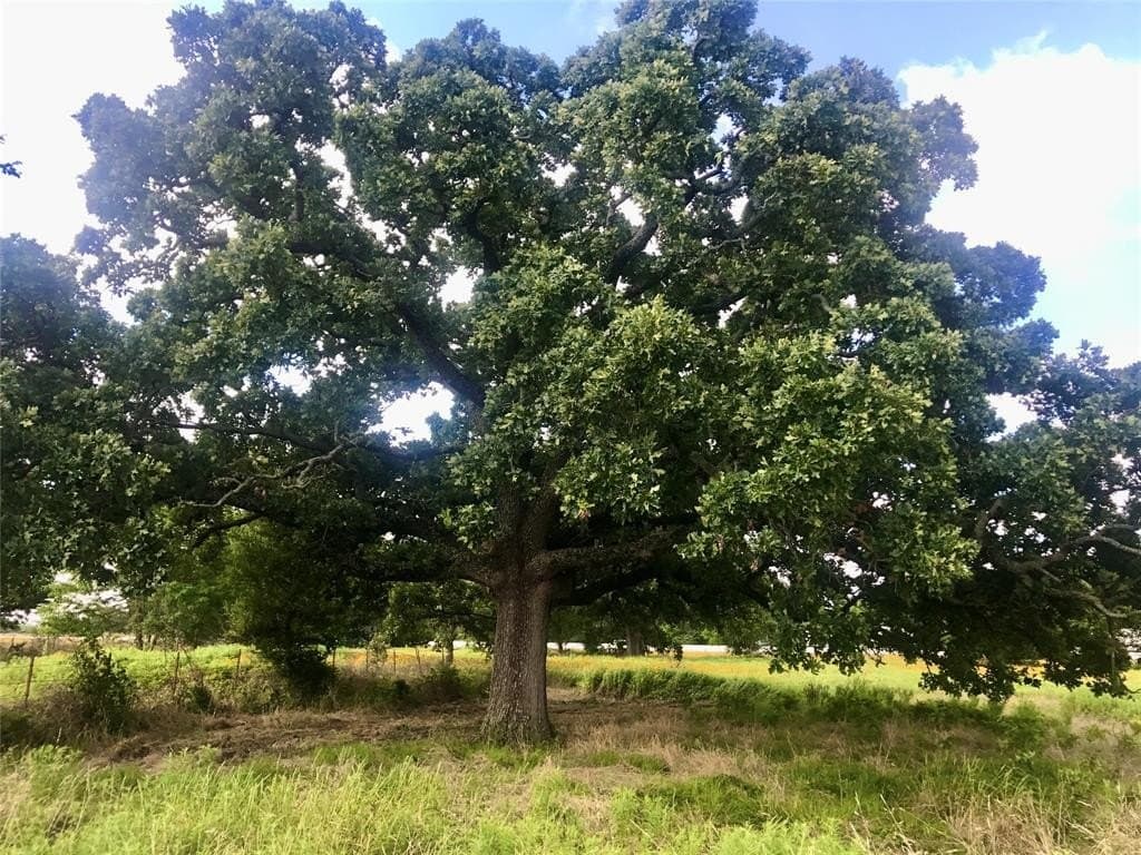 22.5 acres in Van Zandt County - photo 2