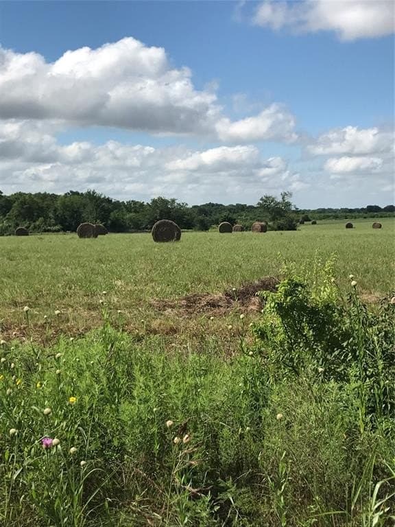 22.5 acres in Van Zandt County - photo 3