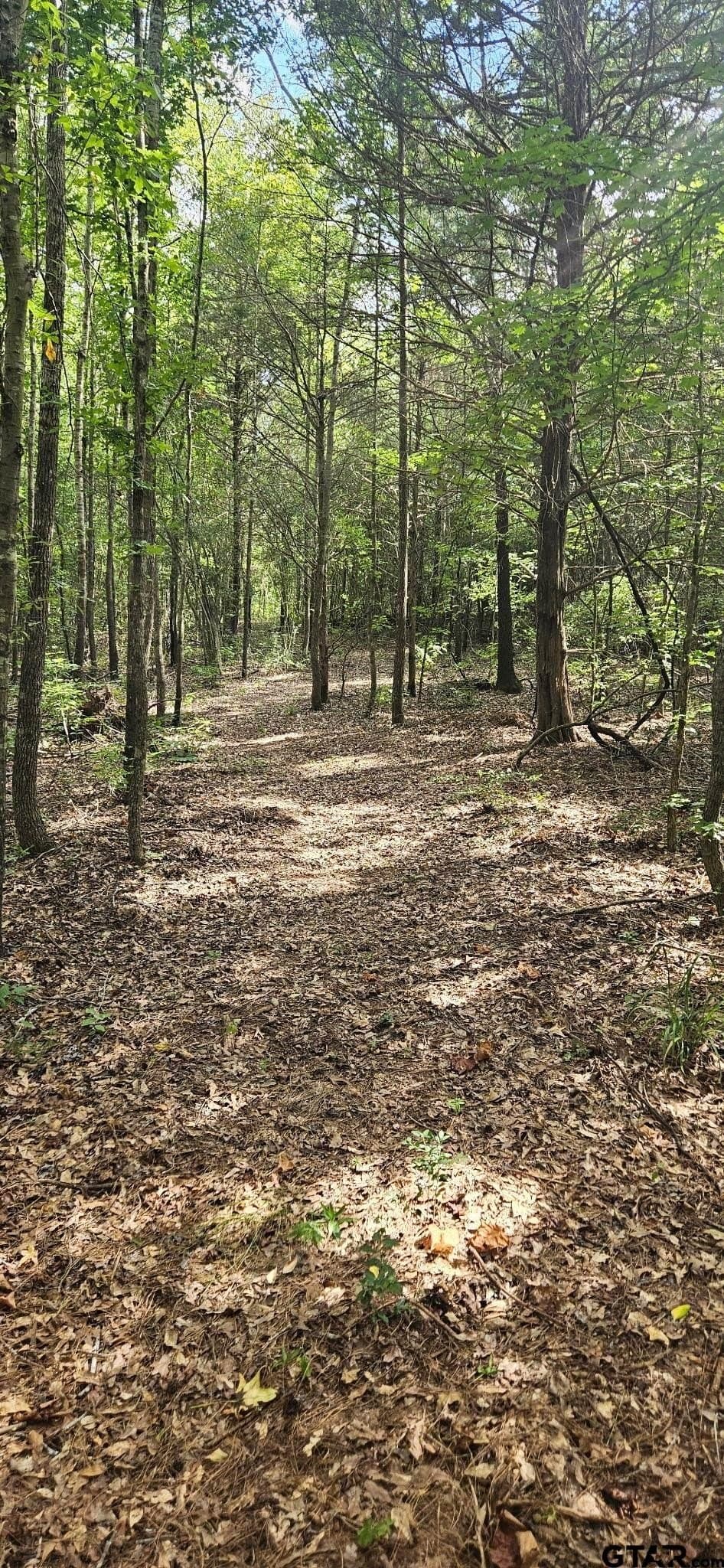 15 acres in Smith County - photo 8