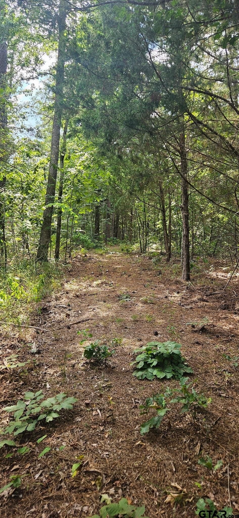 15 acres in Smith County - photo 7