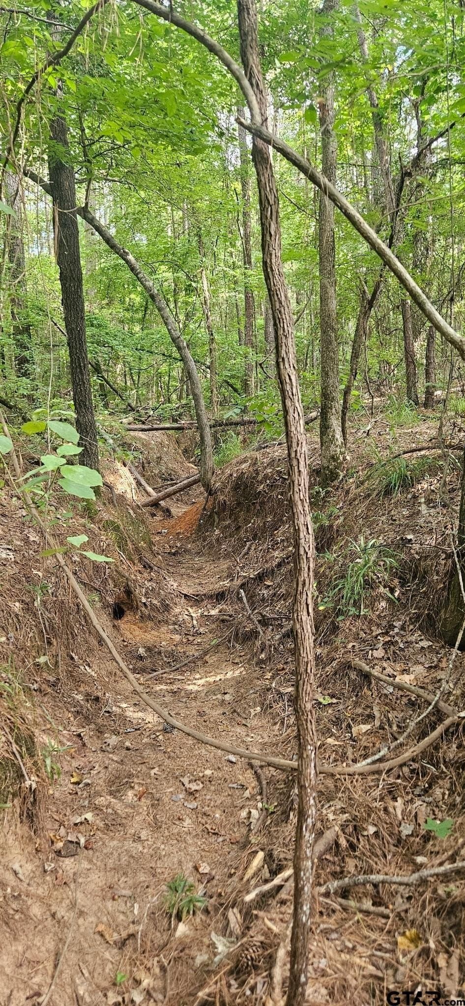 15 acres in Smith County - photo 9