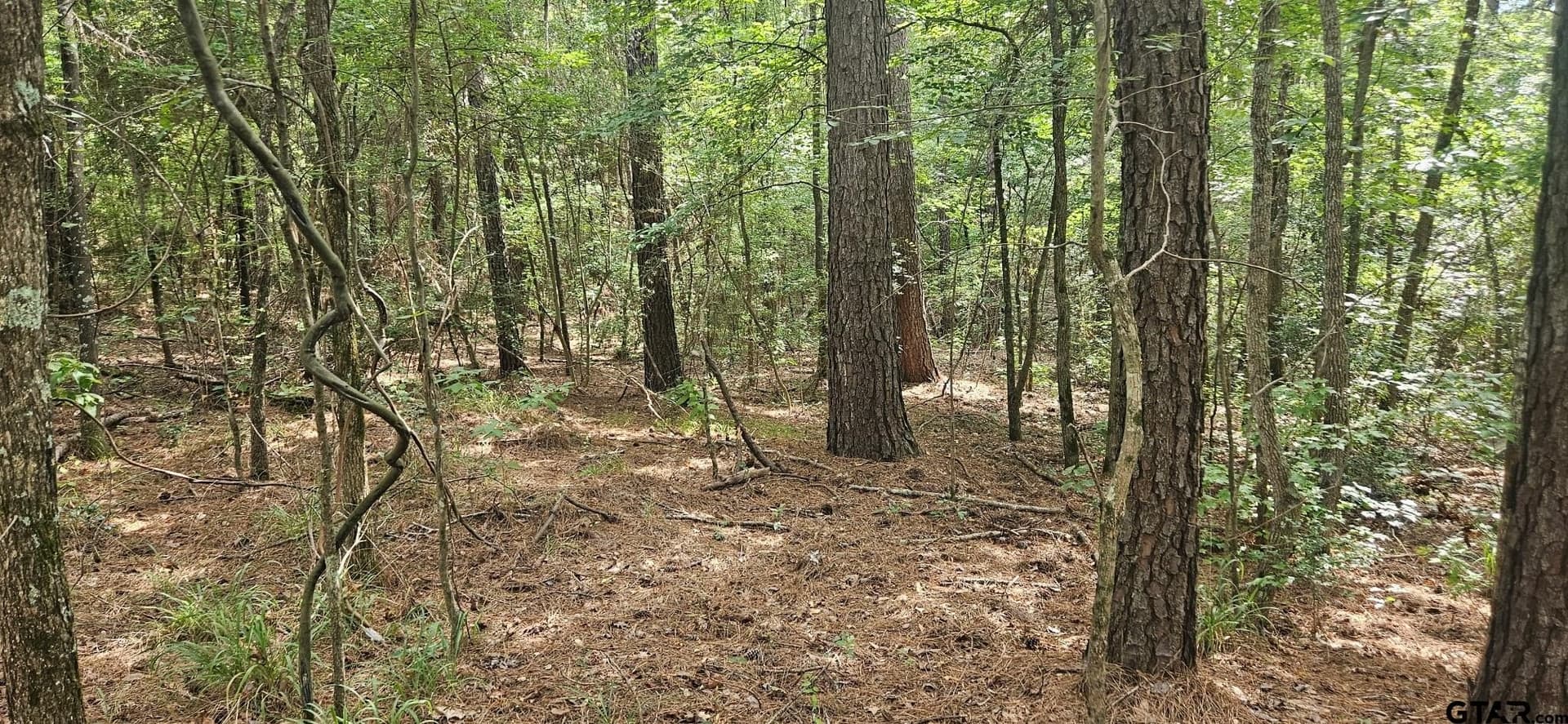 15 acres in Smith County - photo 6
