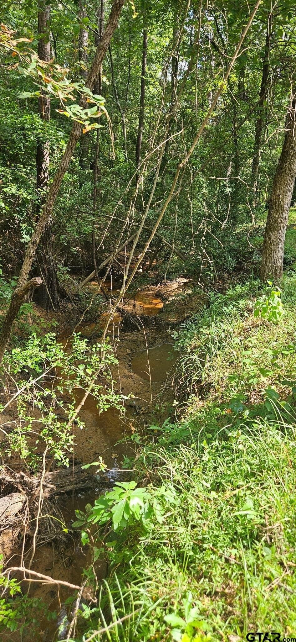 15 acres in Smith County - photo 10