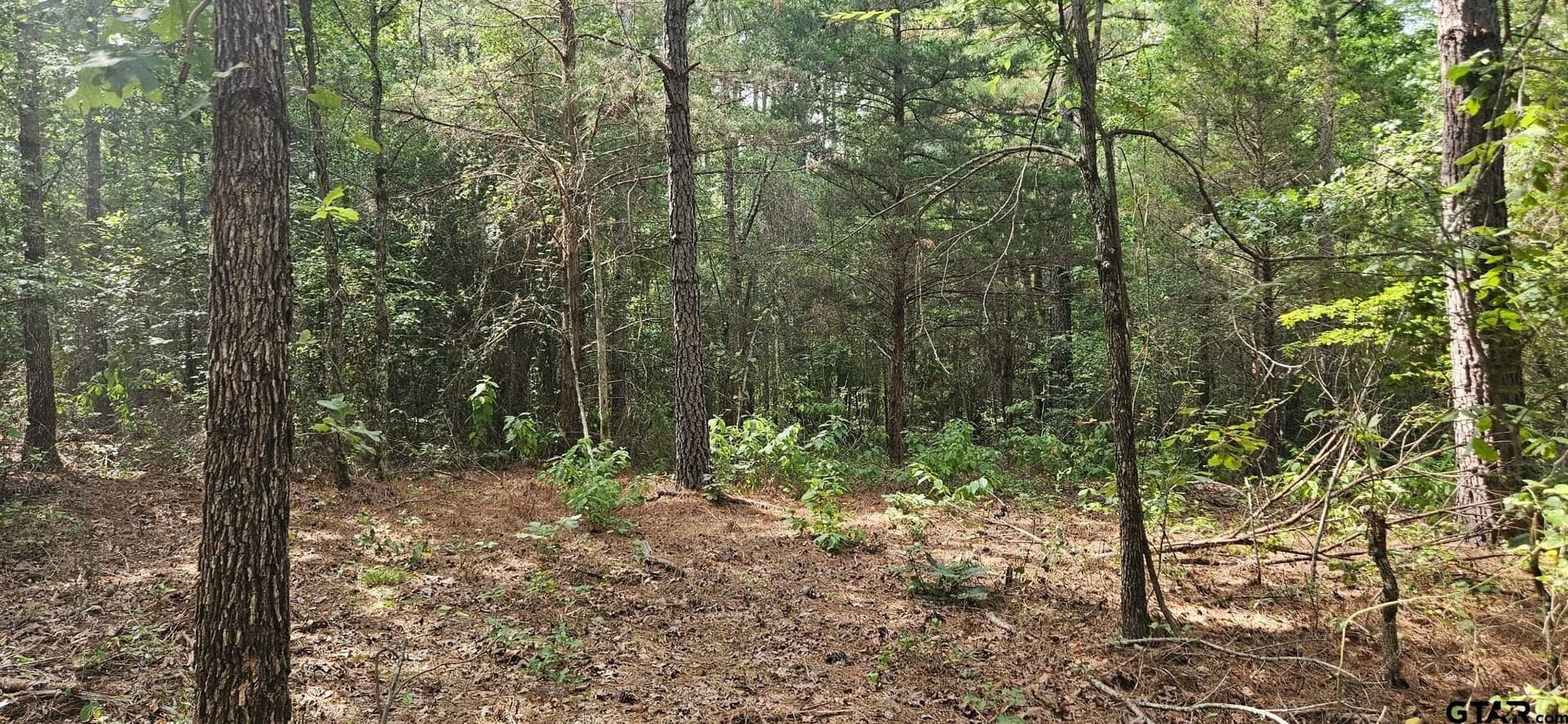 15 acres in Smith County - photo 5