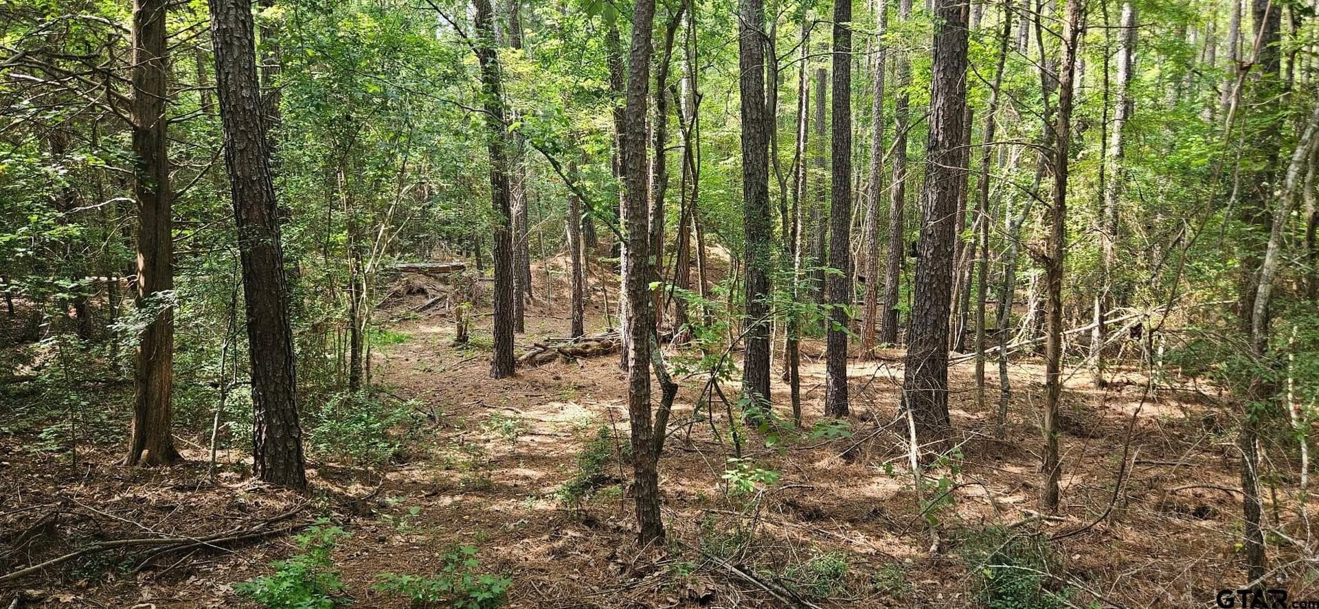 15 acres in Smith County - photo 4