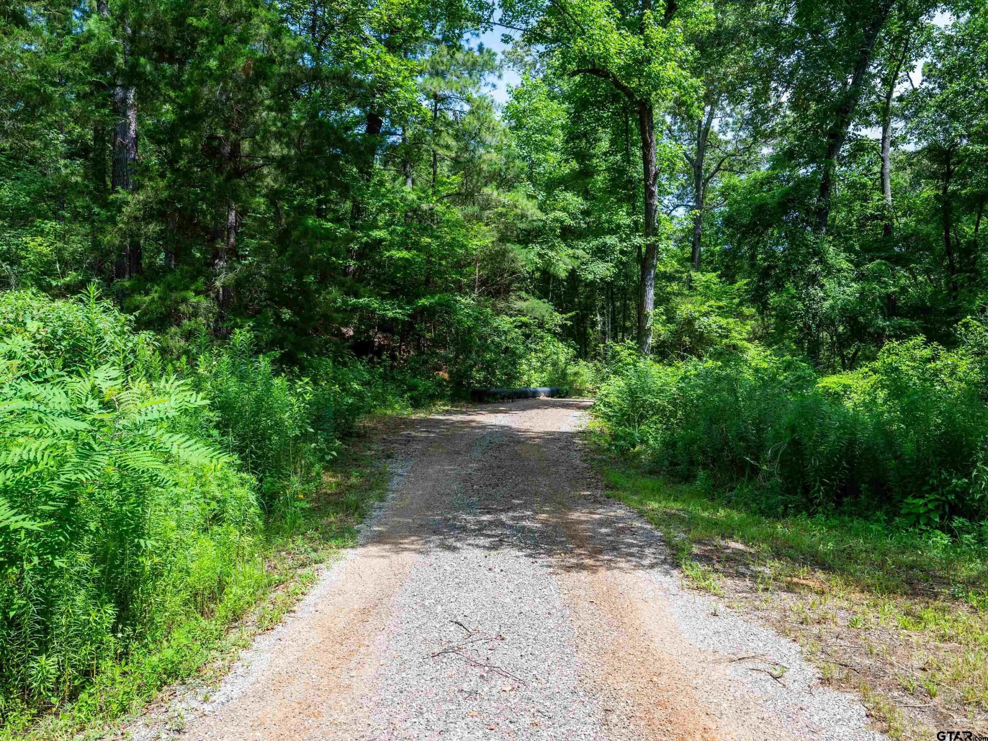 15 acres in Smith County - photo 2
