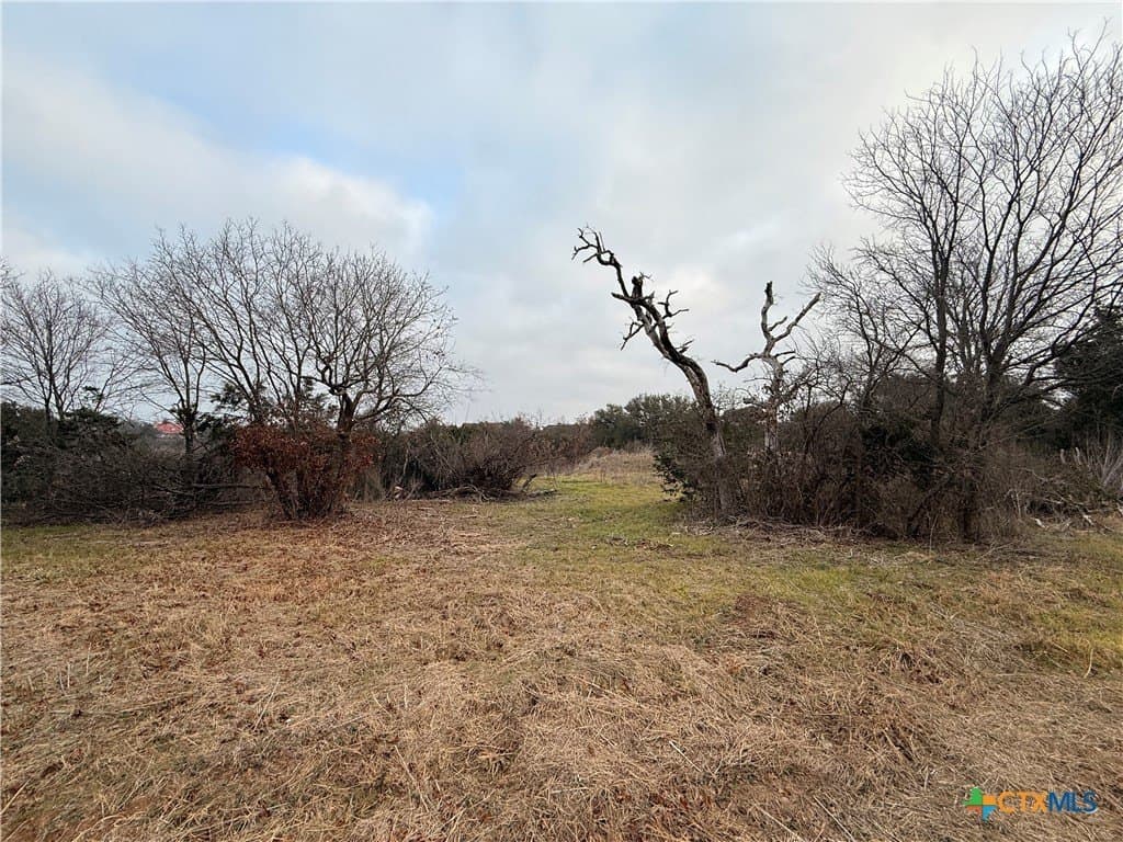 0.36 acres in Bell County - photo 9