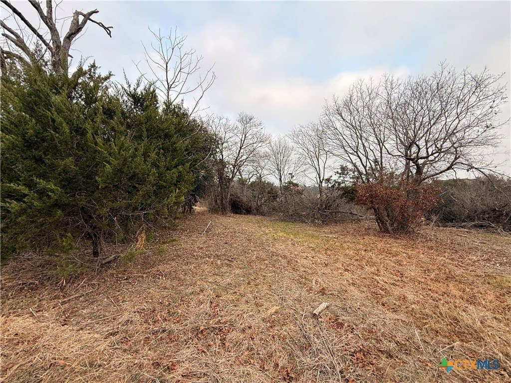 0.36 acres in Bell County - photo 8