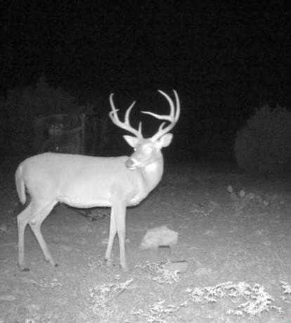 200 acres in Sutton County - photo 2