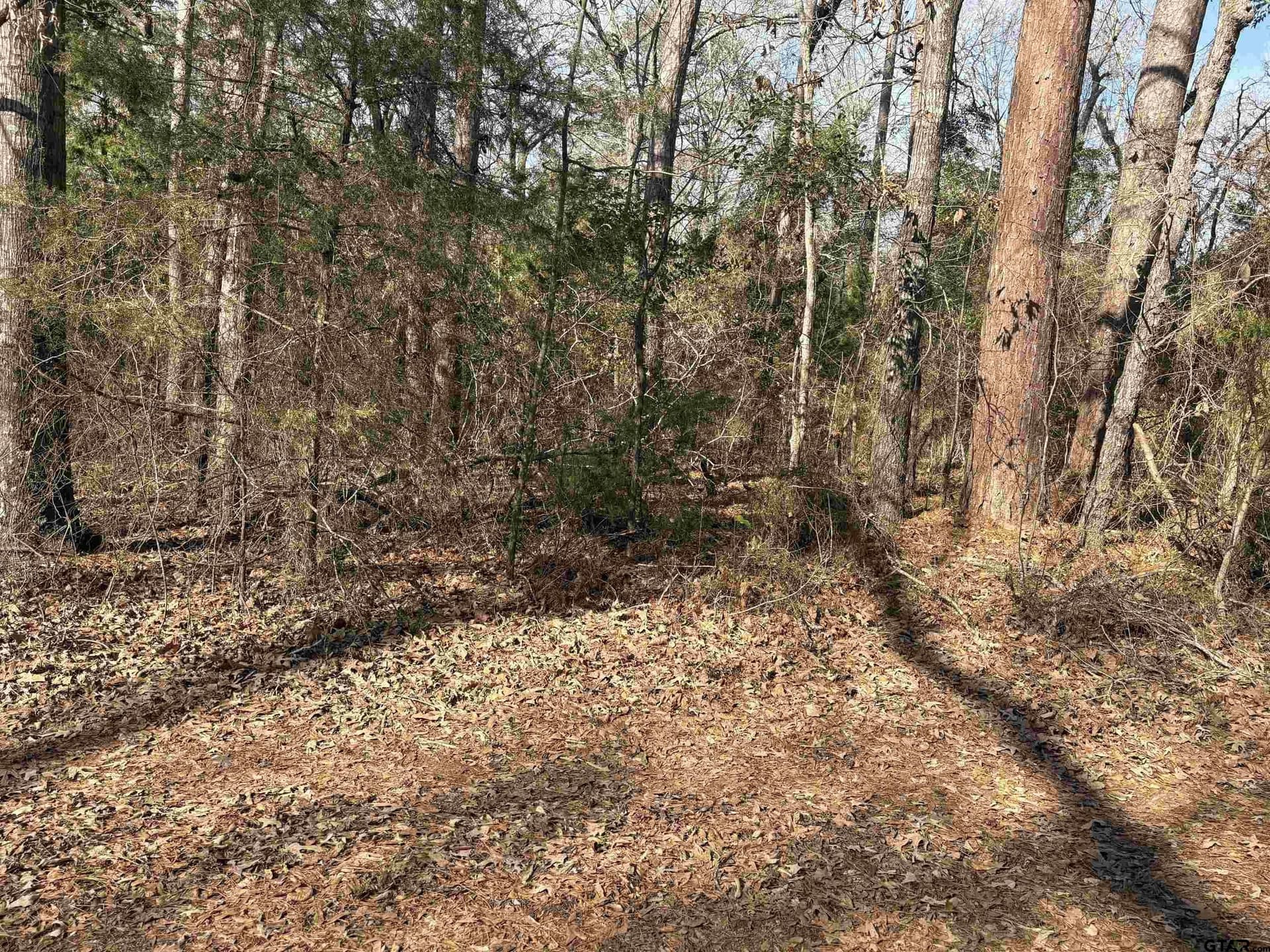 0.36 acres in Cherokee County - photo 2