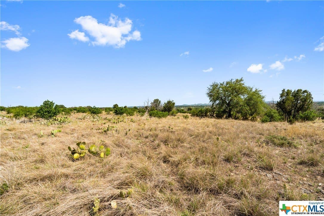 10.02 acres in Blanco County - photo 13