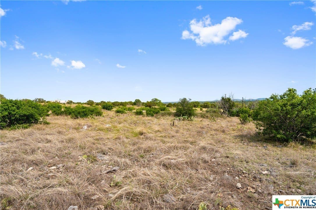 10.02 acres in Blanco County - photo 21