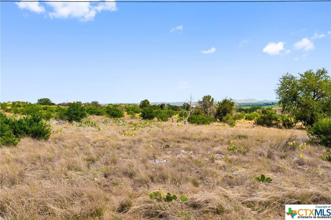 10.02 acres in Blanco County - photo 11