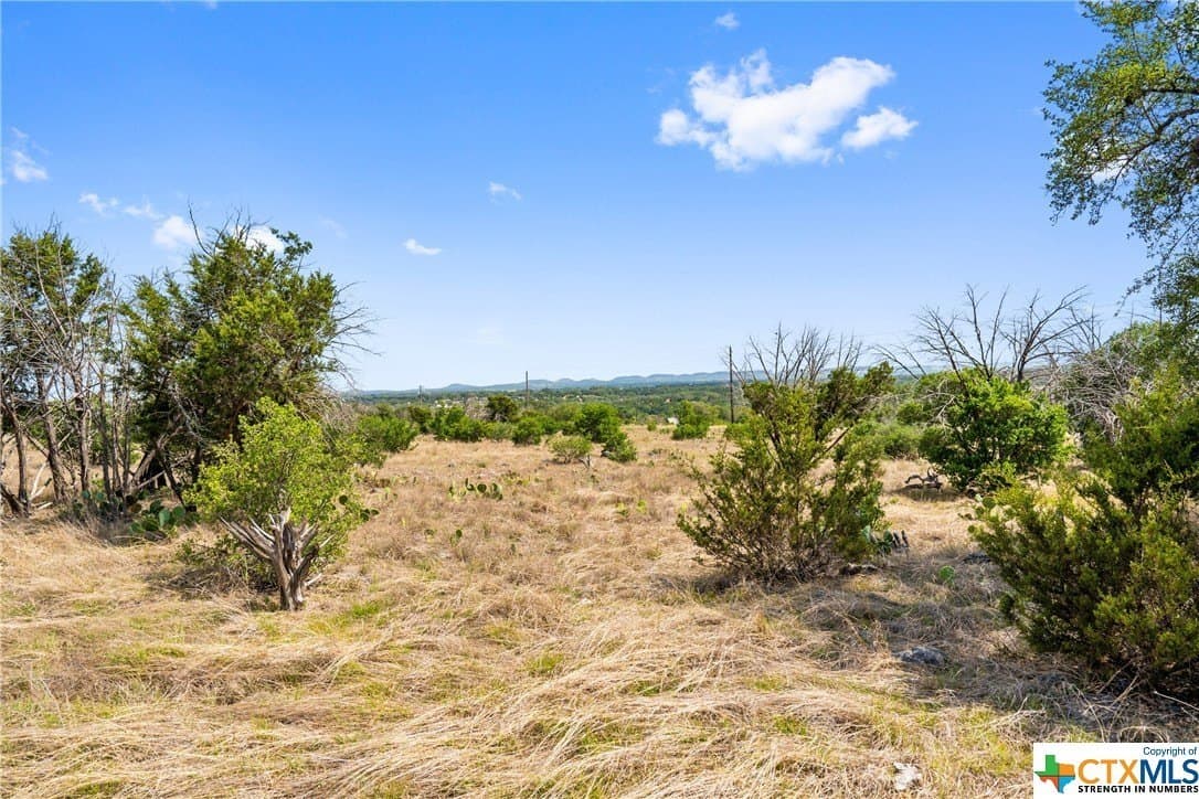 10.02 acres in Blanco County - photo 7