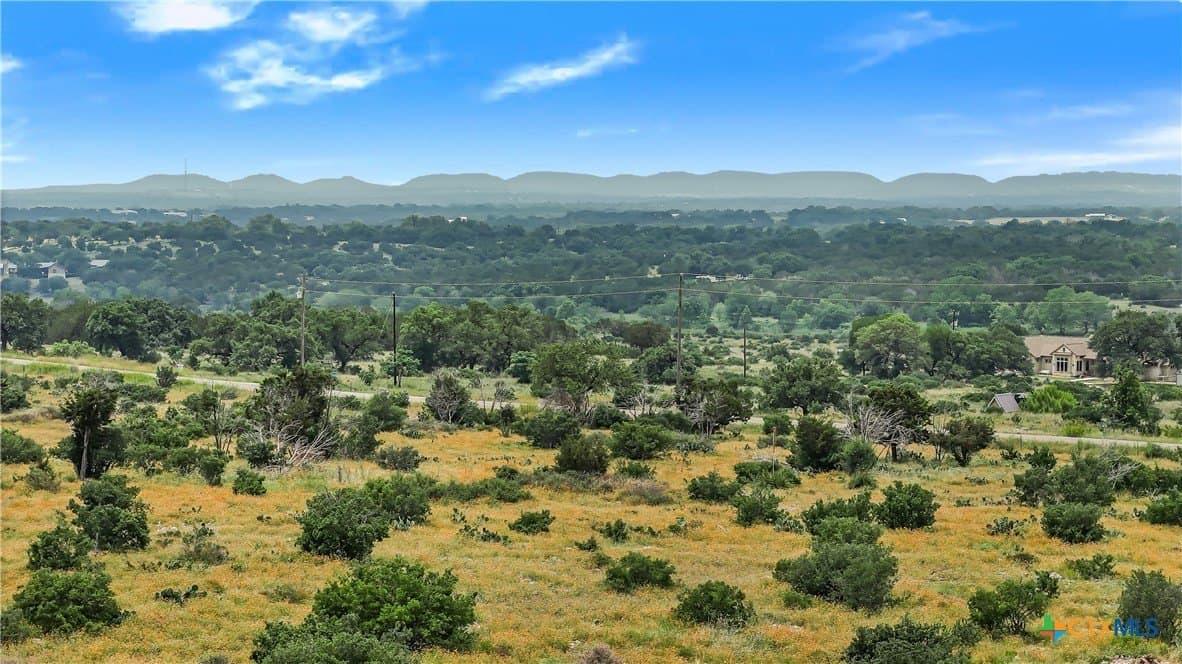 10.02 acres in Blanco County - photo 2