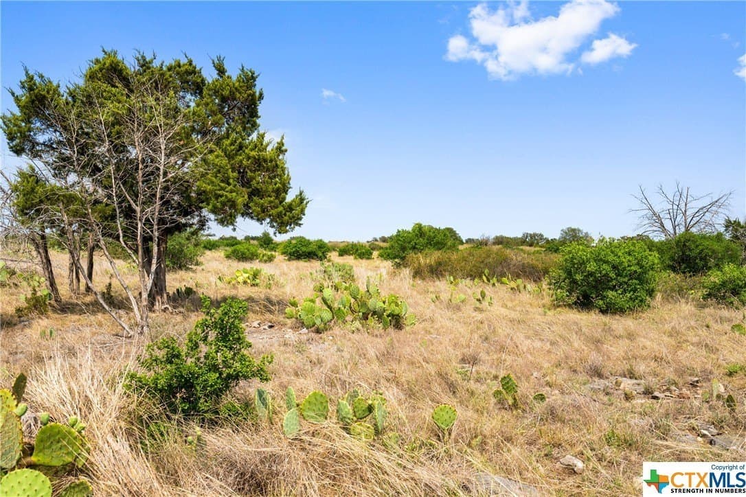 10.02 acres in Blanco County - photo 20