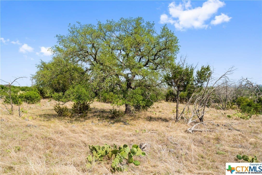 10.02 acres in Blanco County - photo 10