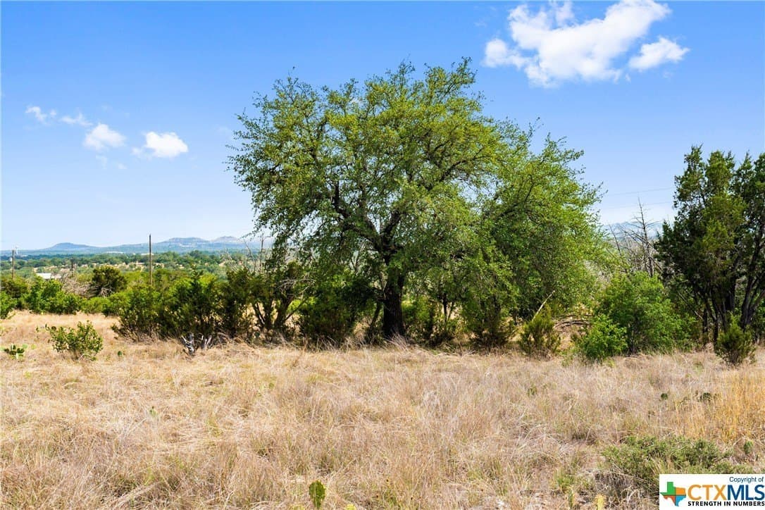 10.02 acres in Blanco County - photo 8