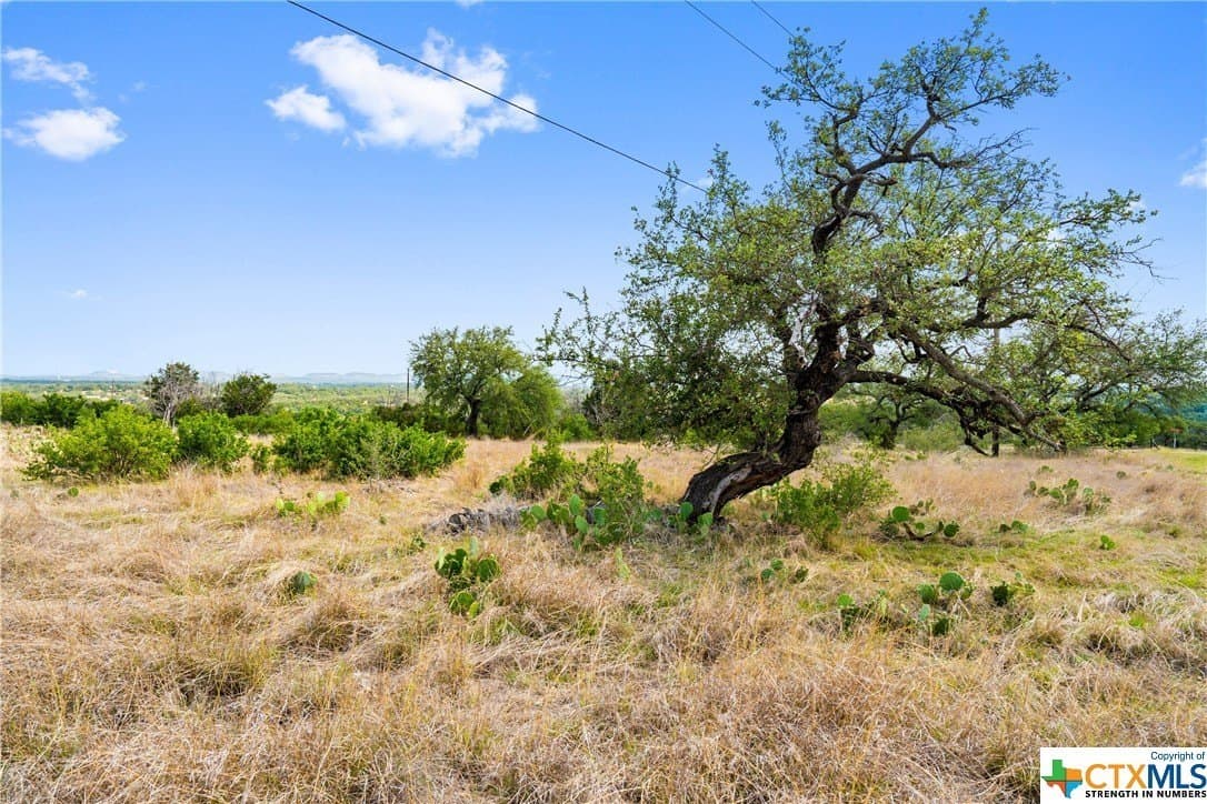 10.02 acres in Blanco County - photo 9