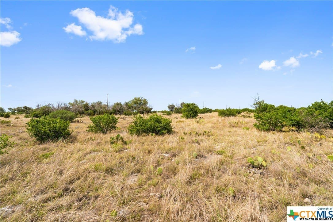 10.02 acres in Blanco County - photo 19