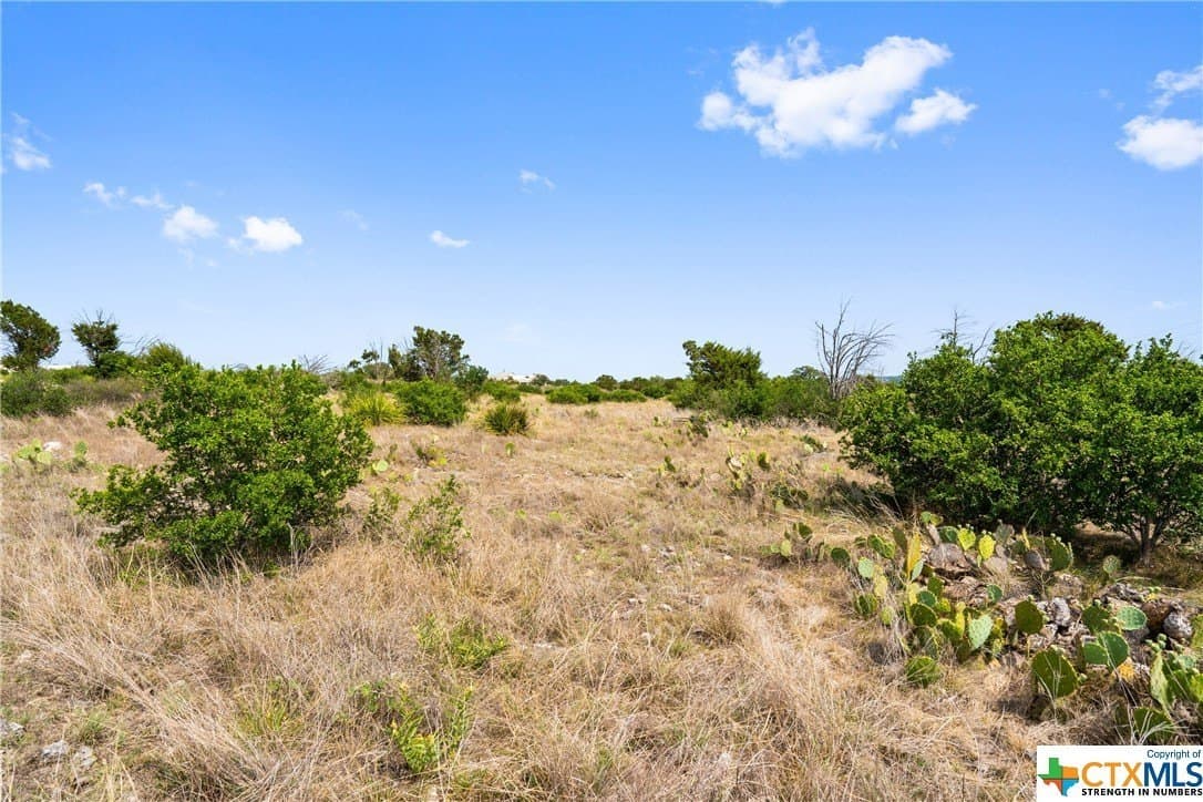 10.02 acres in Blanco County - photo 16