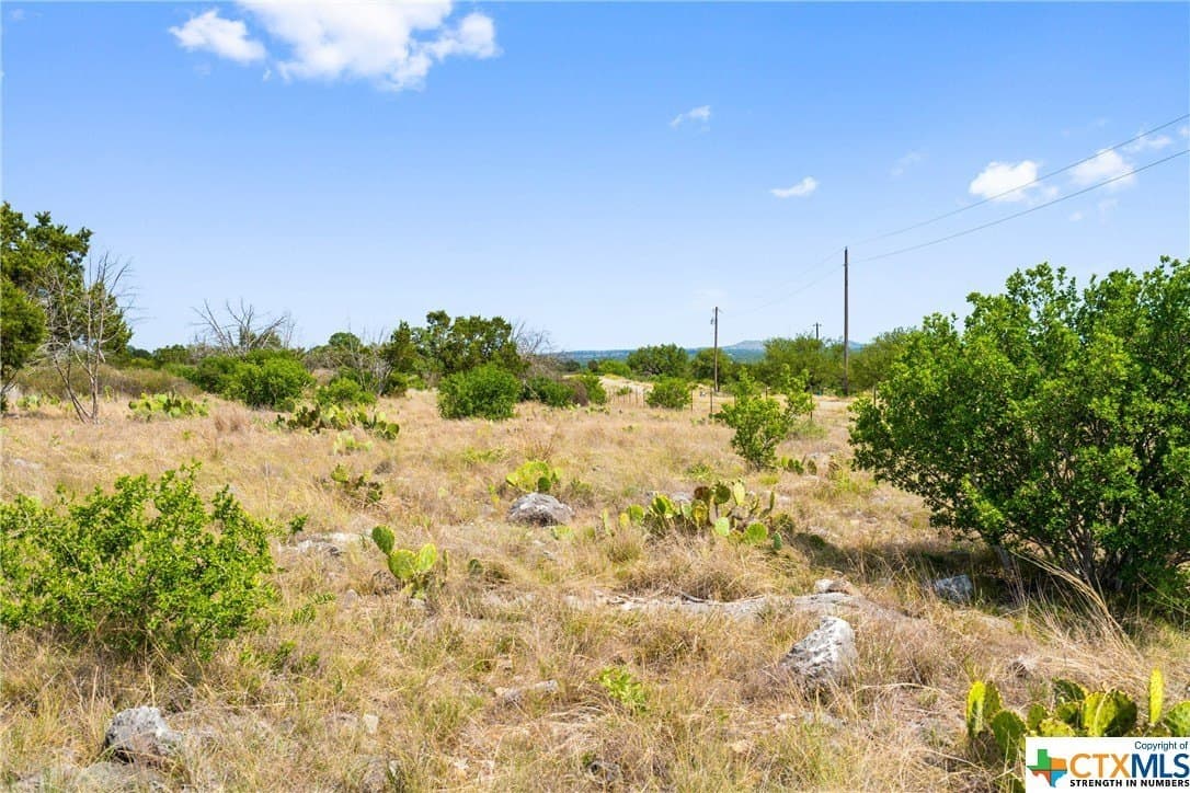 10.02 acres in Blanco County - photo 17