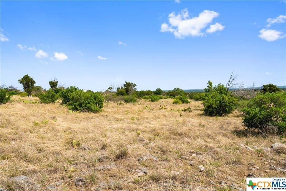 10.02 acres in Blanco County - photo 15